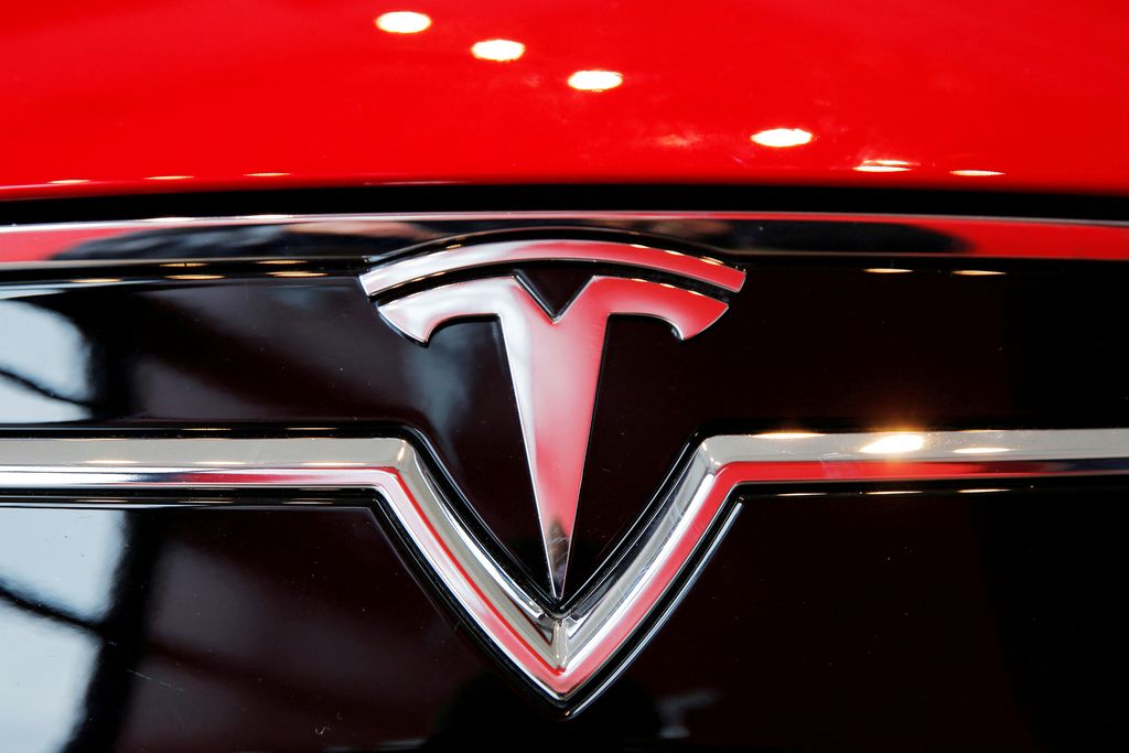 Tesla (REUTERS/Lucas Jackson)