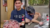Momen Alshad memberikan makan Selen berupa daging wagyu A5 juga pernah dibagikan ke akun TikTok miliknya. Ia tampak memotong-motong daging tersebut dan menyuapkan langsung ke Selen. Foto: Instagram @alshadahmad