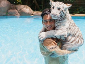 Alshad Ahmad Tegaskan Penyebab Kematian Bayi Harimau