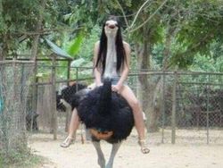 Deretan Foto yang Sayang Dilewatkan, Bikin Ngakak hingga Geleng-geleng