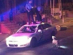 Deretan Foto yang Sayang Dilewatkan, Bikin Ngakak hingga Geleng-geleng