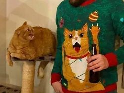 Deretan Foto yang Sayang Dilewatkan, Bikin Ngakak hingga Geleng-geleng