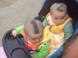 Deretan Foto yang Sayang Dilewatkan, Bikin Ngakak hingga Geleng-geleng