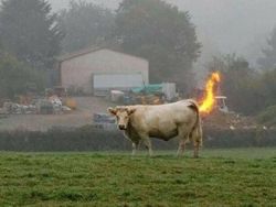 Deretan Foto yang Sayang Dilewatkan, Bikin Ngakak hingga Geleng-geleng