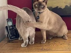 Deretan Foto yang Sayang Dilewatkan, Bikin Ngakak hingga Geleng-geleng