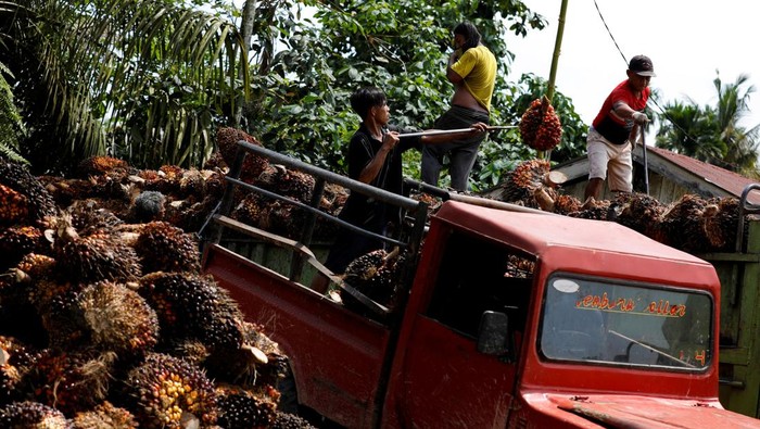 Workers load palm oil fresh fruit bunches to be transported from the collector site to CPO factories in Pekanbaru, Riau province, Indonesia, April 27, 2022. REUTERS/Willy Kurniawan
