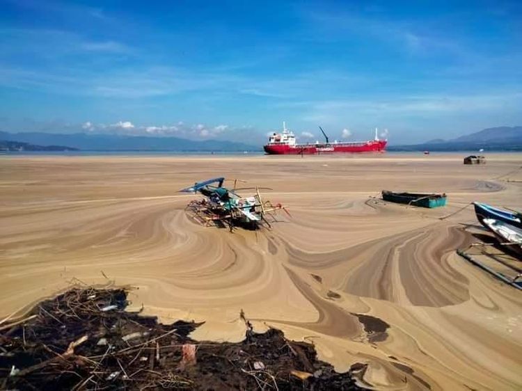 Duh, Pantai Amahami kok Cokelat, Bau, dan Ikan-ikan Mengambang?