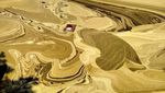 Duh, Pantai Amahami kok Cokelat, Bau, dan Ikan-ikan Mengambang?