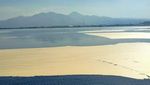 Duh, Pantai Amahami kok Cokelat, Bau, dan Ikan-ikan Mengambang?