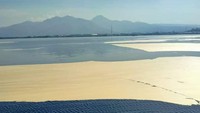 Limbah itu kemudian menyebar dari batas kota sampai destinasi lainnya seperti Pantai Lawata dan Taman Amahami.