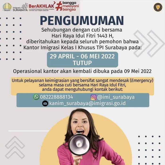 paspor online