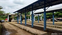 Tak hanya sepi, kawasan Terminal Kadu Banen Pandeglang juga tampak terawat.