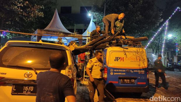 pohon tumbang timpa mobil