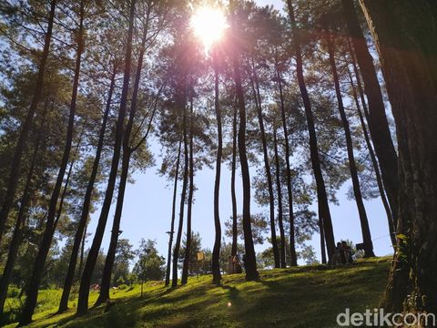 Rekomendasi wisata di Ciamis.