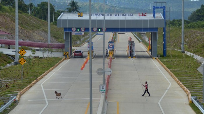Saat Kambing Mau Ikut Jajal Tol Sigli-Banda Aceh Seksi II Jalan Tol Sigli-Banda Aceh Seksi II resmi beroperasi tanpa uji coba. Ada pemandangan menarik di sana saat seekor kambing terlihat memasuki kawasan gerbang tol.
