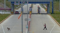 Petugas mengusir seekor kambing yang memasuki kawasan gerbang jalan Tol Sigli-Banda Aceh Seksi 2 (Seulimum-Jantho) pada hari pertama beroperasi di Aceh Besar, Aceh, Rabu (27/4/4).