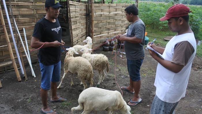 Unik! Ada 'Hotel' Buat Kambing Nih di Situbondo Momen lebaran membuat jasa penitipan hewan dicari warga. Di Situbondo, ada sebuah tempat penitipan hewan ternak untuk peternak yang hendak mudik jelang lebaran.