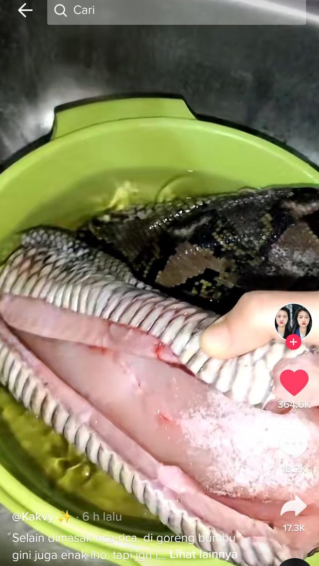 Wanita Ini Masak Ular Rica-rica