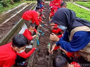 Hai Bun, Ada Wisata Asyik Buat Anak di Jendela Alam Lembang