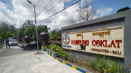 Kampung Coklat Eco Wisata Berkat Abadi Jembrana, di Desa Pohsanten, Kecamatan Mendoyo, Kabupaten Jembraba Bali. (I Ketut Suardika/detikBali).