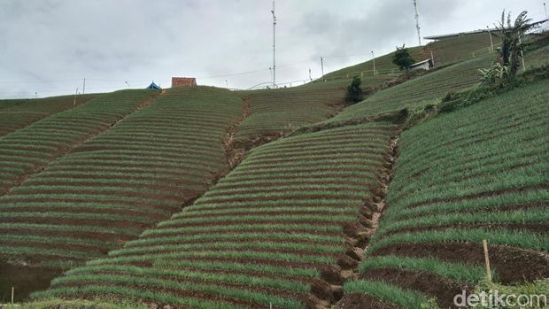 Objek wisata alam populer di Majalengka.