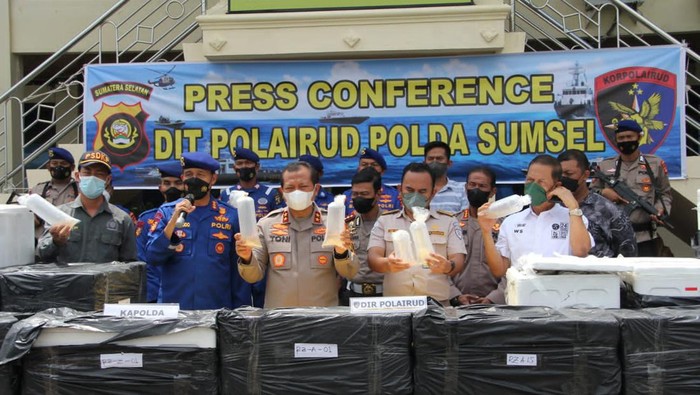 Polda Sumsel gagalkan penyeludupan benur Rp 52 miliar.