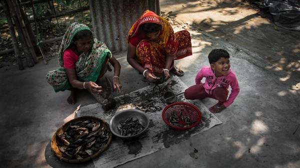 Perempuan desa sedang mengolah ikan mentah. Seorang anak kecil sedang menikmati seluruh prosesnya. Pemenang muda (10 tahun ke bawah) | Rupkotha Roy Barai dari Bangladesh | Mengolah Ikan.