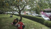 Meski telah dilengkapi dengan berbagai fasilitas, sejumlah pemudik tetap memilih beristirahat di taman.