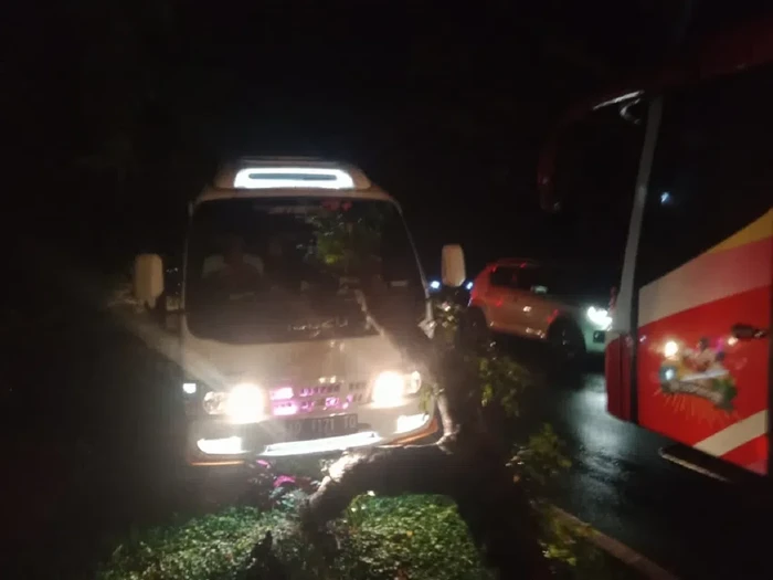 Aksi ngeblong sopir travel di Gilimanuk