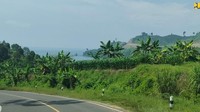 Pemandangan indah mengapit jalan meliuk-liuk di Pansela Jatim.
