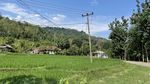 Kendaraan Unik di Jalur Mudik Cianjur