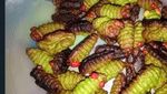 Zonk! 10 Penampakan Kue Lebaran Gagal yang Bikin Ngakak