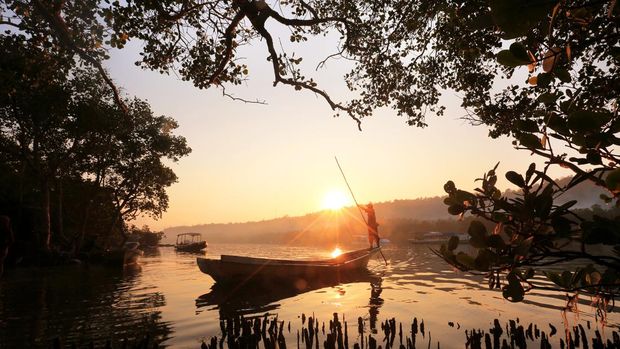 Hutan Mangrove di Nusa Lembongan, Bali. (dok. Dinas Pariwisata Klungkung)