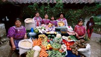 Kehidupan keluarga Mendozas di Guatemala masih mempertahankan tradisi yang ada. Mereka paling suka menyantap sup dari daging kalkun dengan aneka sayuran segar seperti buncis hingga wortel. Foto: Peter Menzel
