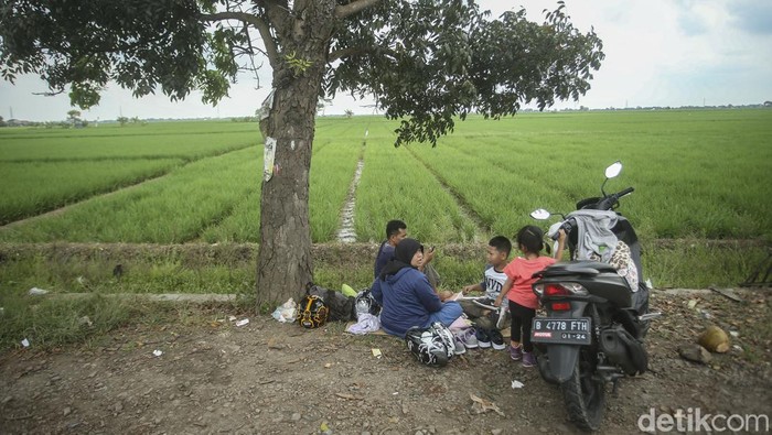 Sejenak Melepas Penat di Tepi Sawah Jalur Pantura Pemudik beristirahat di Jalan Raya Pantura, Subang, Sabtu (30/4/2022). Hamparan sawah yang luas membuat lokasi ini menjadi tempat favorit untuk beristirahat.