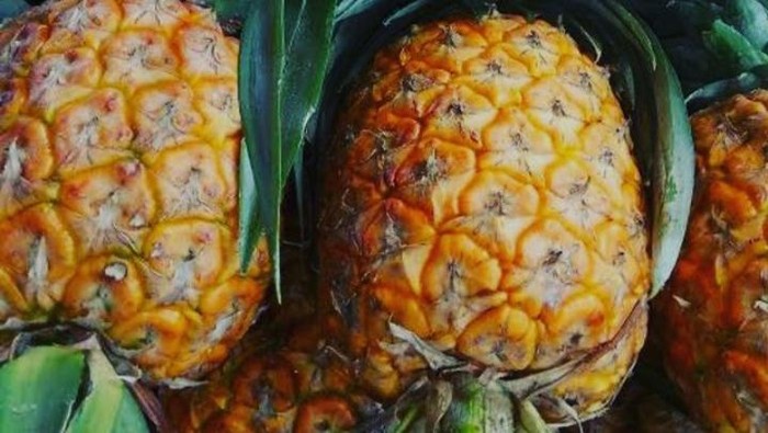 Buah Nanas Madu Subang.