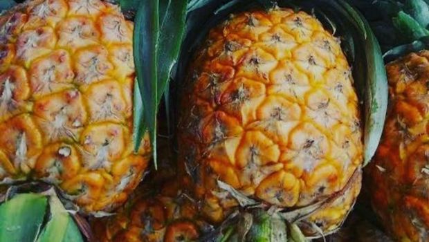 Buah Nanas Madu Subang.