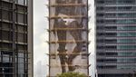 Foto Fenomena Gedung Kepompong