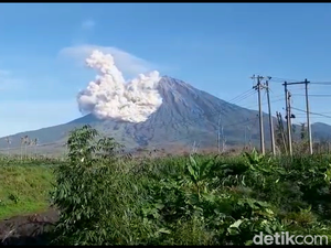10 Gunung Tertinggi di Indonesia, Ada Jaya Wijaya hingga Rinjani