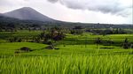 Subak di Jatiluwih yang Tak Sekadar Indah