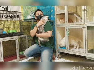 Mudik Lebaran, Berkah Bagi Jasa Penitipan Hewan di Purwakarta