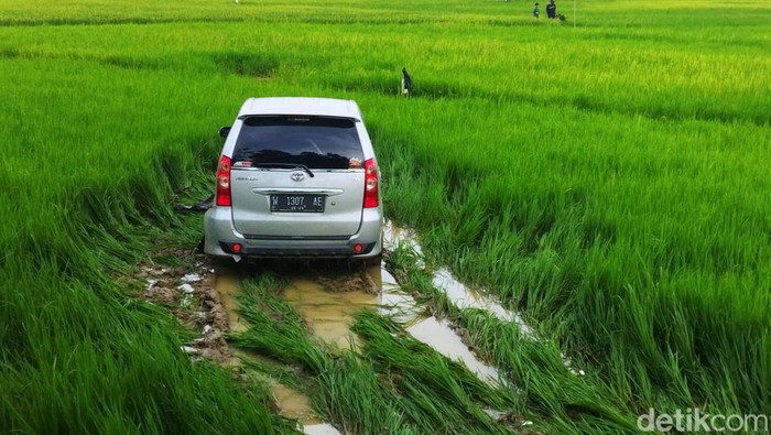 Setelah adu banteng dengan sepeda motor Avanza terjun ke sawah di Sampang.