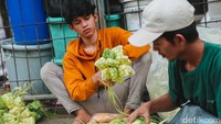 Para pedagang ketupat ini sudah mulai berjualan sejak kemarin.