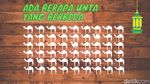 Seharian Hunting Ketupat, Masih Sanggup Pecahkan Teka-teki Ini?