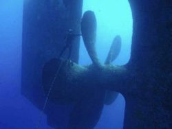 Jangan Lihat Kalau Megalophobia! Benda Ini Bikin Manusia Seukuran Semut