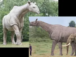 Jangan Lihat Kalau Megalophobia! Benda Ini Bikin Manusia Seukuran Semut