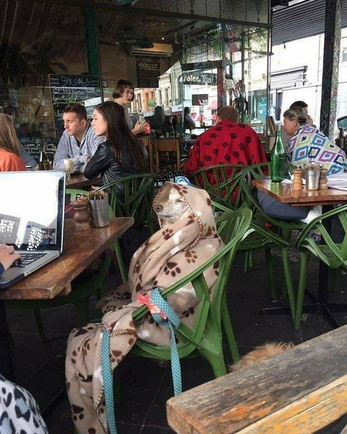 10 Momen Kocak Netizen Makan Bareng Bikin Salfok!