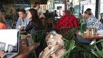 10 Momen Kocak Netizen Makan Bareng Bikin Salfok!