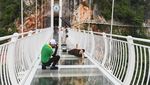 Jembatan Kaca Terpanjang di Dunia yang Cantik tapi Mencekam