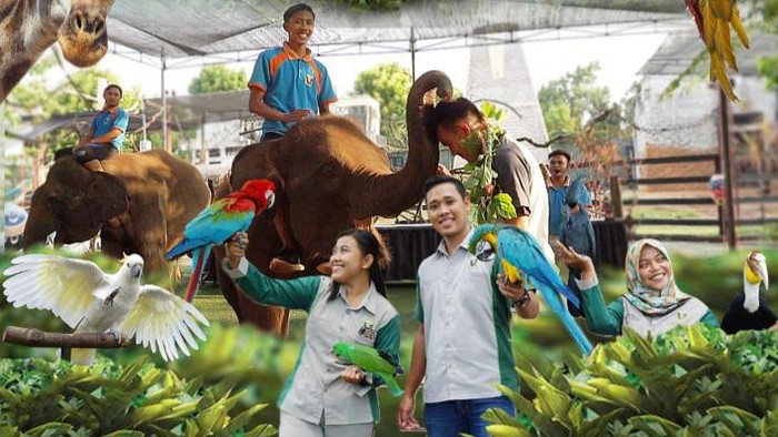 Maharani Zoo dan Goa Lamongan